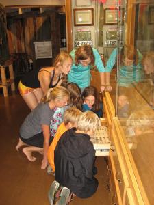 Children viewing insect collection at Lake Country Museum