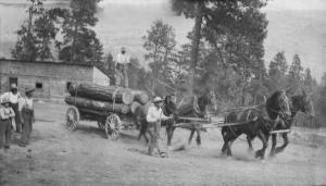 Load of logs from Winfield Flats