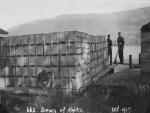662 boxes of apples, 1917.jpg